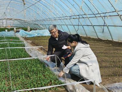 科技增糧助春耕 省農(nóng)科院生物技術(shù)所專家團(tuán)精準(zhǔn)服務(wù)肇源縣春季生產(chǎn)