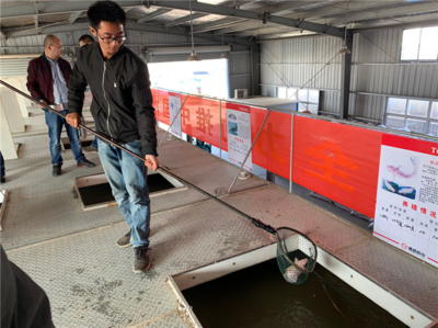 【新時代 新作為 新篇章】搭建新平臺研發(fā)新技術(shù) 農(nóng)業(yè)創(chuàng)新為鄉(xiāng)村振興注入活力