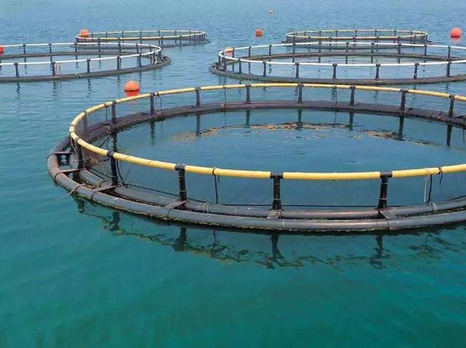 高考放榜!大廠大裁員,水產企業(yè)瘋狂搶人!年薪百萬不是夢!填志愿別錯過了水產專業(yè)