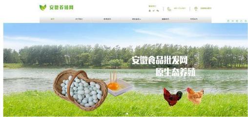 打造一流的行業平臺&ldquo;安徽養殖網&rdquo;