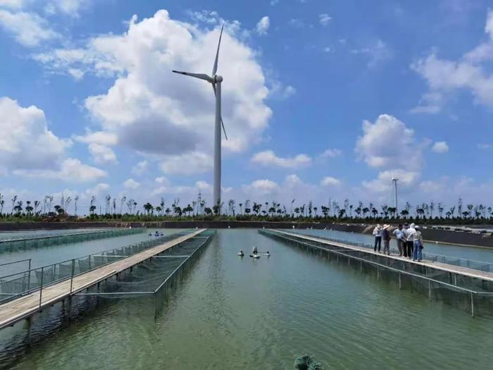 18000多畝標準化養殖池塘,專注高品質草魚、鯽魚、鮰魚養殖!現代化水產養殖企業誠邀技術員