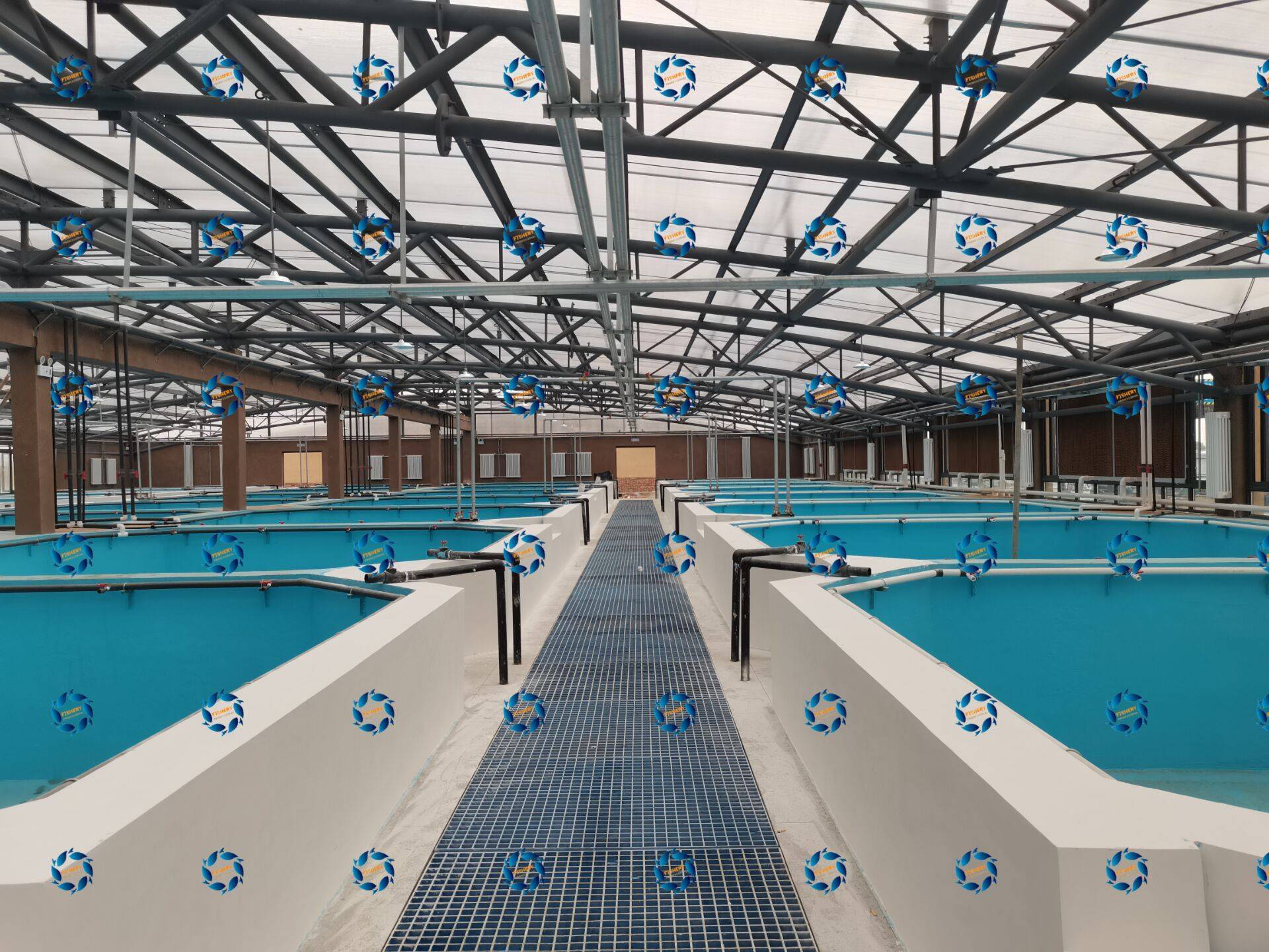 了浙江省科技廳重大研發項目"高效生態智能化設施水產養殖技術"研發,"