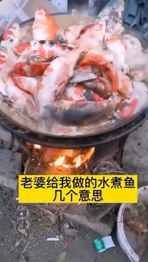 釣魚 魚 農村 農村生活 水產養殖技術 捕魚