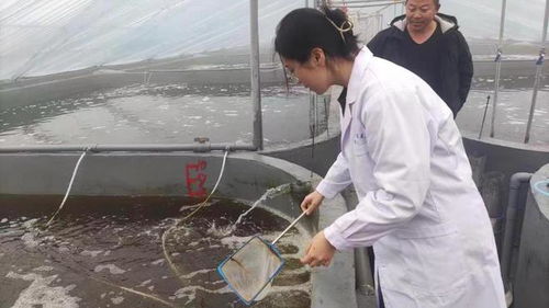 研發(fā)新型水產(chǎn)養(yǎng)殖殺菌劑,濟南大學(xué)團隊獲 挑戰(zhàn)杯 金獎