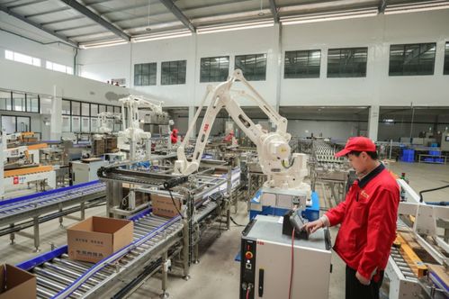 訂單足,市場旺 美寧食品罐頭智能化加工車間忙