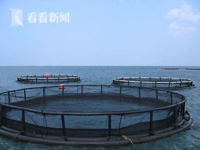 上海研發深遠海養殖工船 未來可培育品質接近野生的海魚