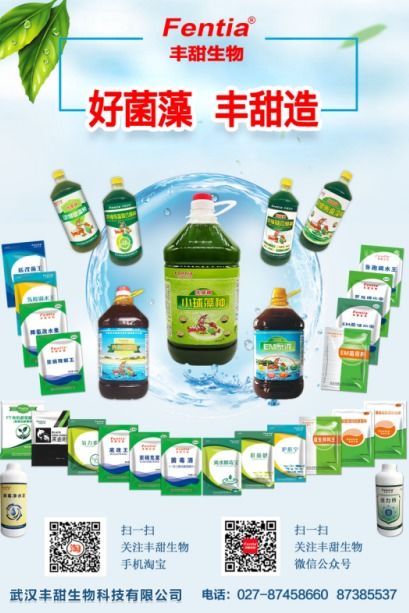 水產養殖博覽會新亮點呈現