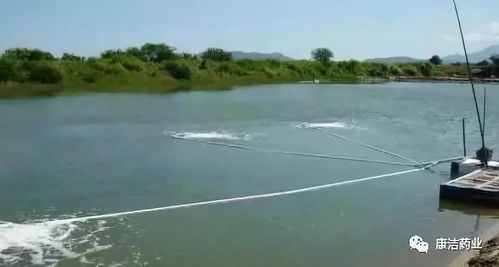 康潔r原創告訴您 池底缺氧的七大原因及防護措施