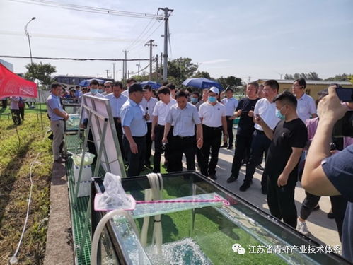 新品種青蝦 太湖2號 在全國水產綠色健康養殖技術推廣 五大行動 現場觀摩活動中展