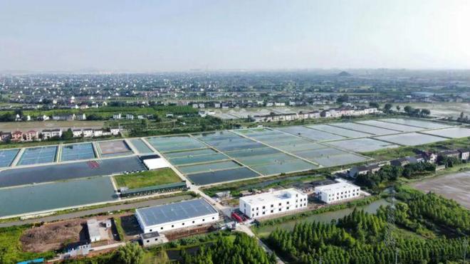 靖江基地一期工程基本完工，水產養殖科研迎來新突破