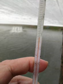 珠海農發中心深入基層，科學開展水產養殖防寒減災工作