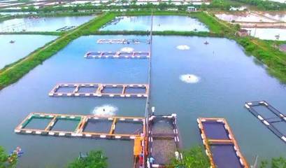 喜訊！斗門8家企業(yè)榮登省級(jí)水產(chǎn)養(yǎng)殖榜單，實(shí)力彰顯產(chǎn)業(yè)新高度