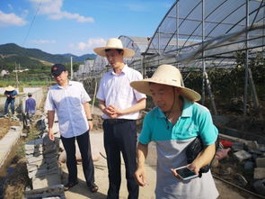 水產(chǎn)養(yǎng)殖災(zāi)后恢復(fù)技術(shù)指導(dǎo) 浙江磐安、德清兩地行