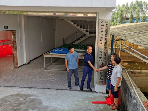 深耕八桂漁水情，科技扶貧譜新篇——記廣西水產(chǎn)引育種中心大宗淡水魚產(chǎn)業(yè)技術(shù)扶貧團(tuán)隊(duì)